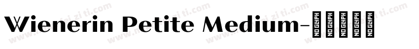 Wienerin Petite Medium字体转换